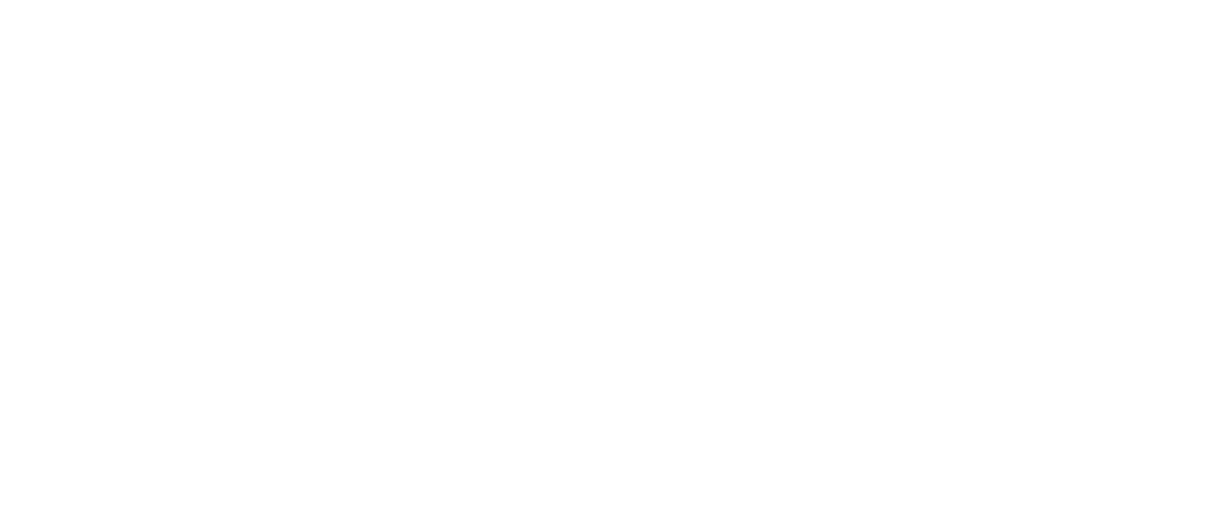 Cannes Lion